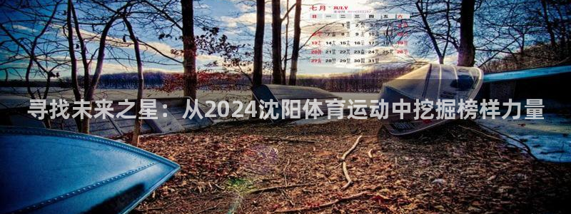 意昂5体育代理：寻找未来之星：从2024沈阳体育运动中挖掘榜样力量