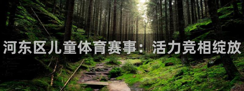 意昂注册：河东区儿童体育赛事：活力竞相绽放