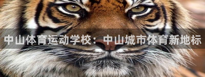 意昂5集团官网：中山体育运动学校：中山城市体育新地标