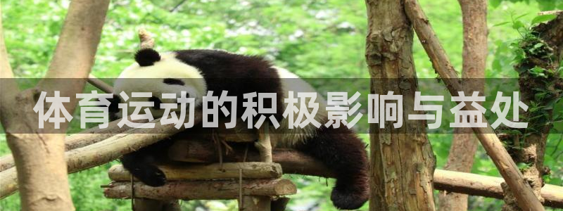 意昂3登录：体育运动的积极影响与益处