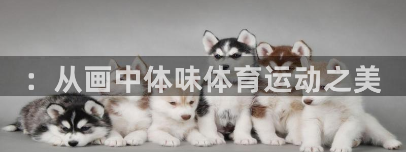意昂注册：：从画中体味体育运动之美