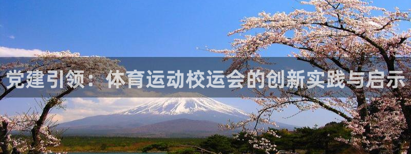 意昂53注册：党建引领：体育运动校运会的创新实践与启示