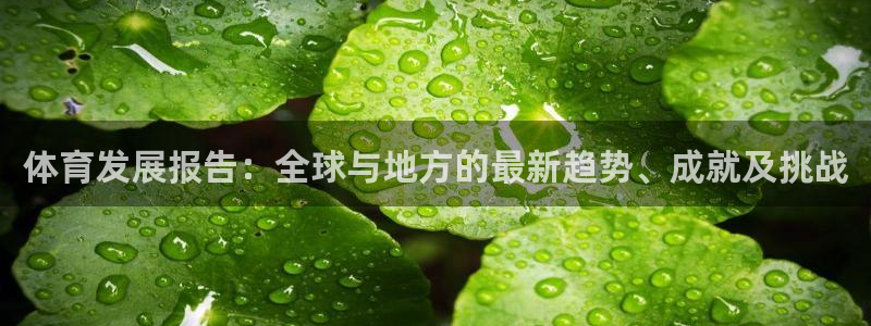 意昂5体育老板是谁：体育发展报告：全球与地方的最新趋势、成就及挑战