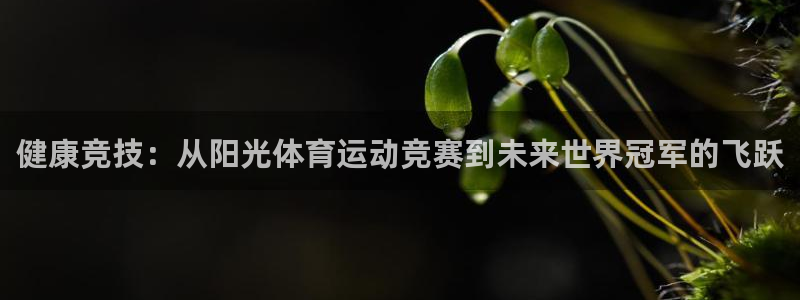 意昂5招商：健康竞技：从阳光体育运动竞赛到未来世界冠军的飞跃