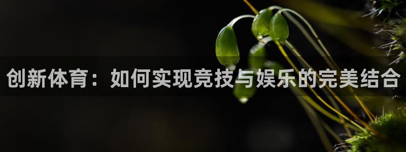 意昂5体育1招商：创新体育：如何实现竞技与娱乐的完美结合
