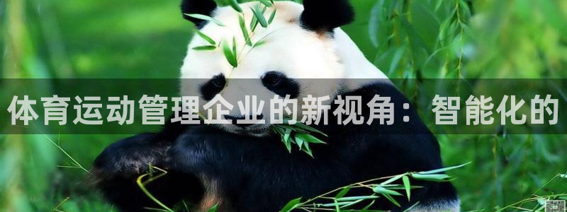 意昂5体育合法嘛：体育运动管理企业的新视角：智能化的