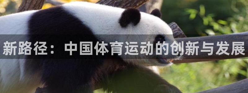 意昂代理注册官网入口：新路径：中国体育运动的创新与发展
