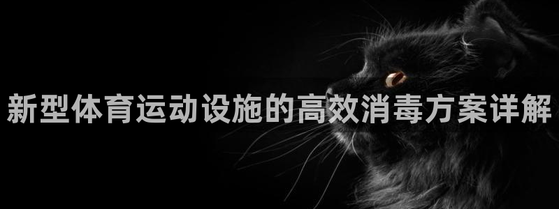 意昂5体育2官网入口：新型体育运动设施的高效消毒方案详解