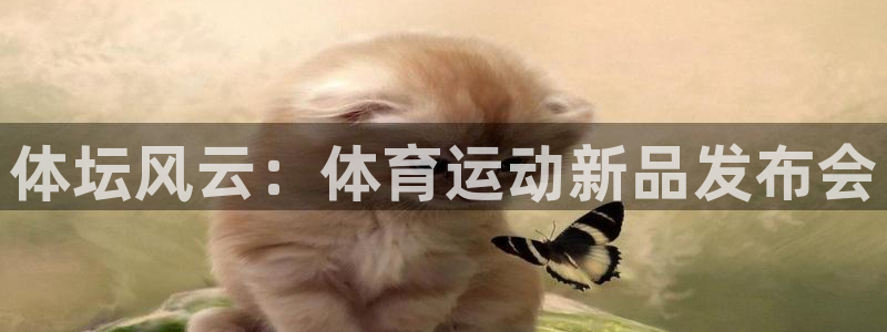 意昂53平台登录注册：体坛风云：体育运动新品发布会
