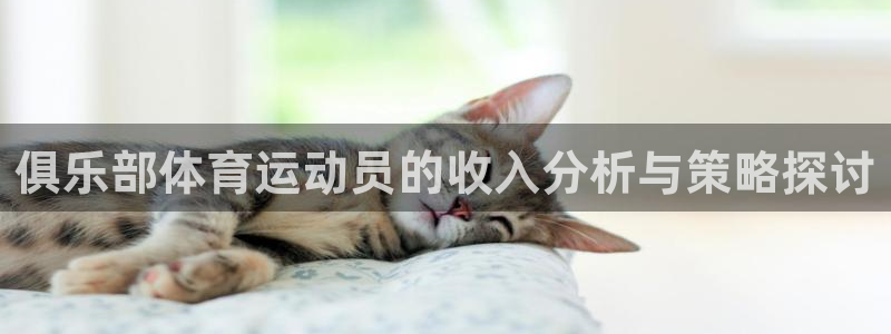 意昂5：俱乐部体育运动员的收入分析与策略探讨