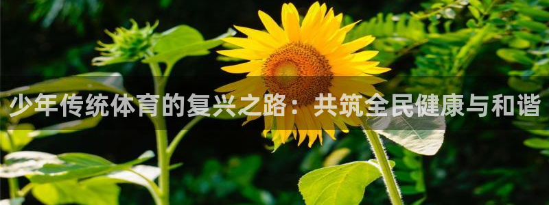 意昂53平台注册：少年传统体育的复兴之路：共筑全民健康与和谐