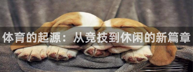 意昂5体育1招商：体育的起源：从竞技到休闲的新篇章